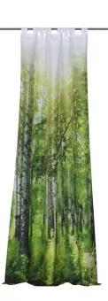 Schlaufenschal Dessin Bosco Fb. 80, 140x245 cm 