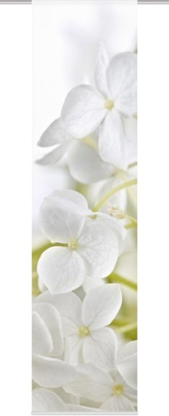 Schiebevorhang Dessin Zohra Fb. 10, 60x245 cm, kürzbar