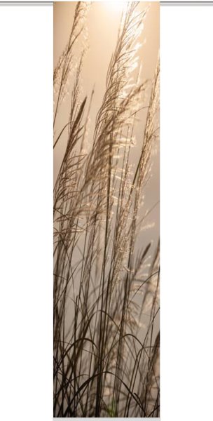 Schiebevorhang Dessin Taro Fb. 30, 60x245 cm, kürzbar 
