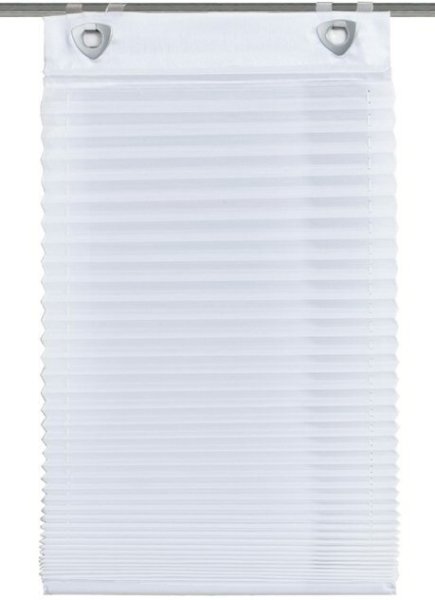 Raffrollo / Plisseerollo Dessin Divo Fb. 10