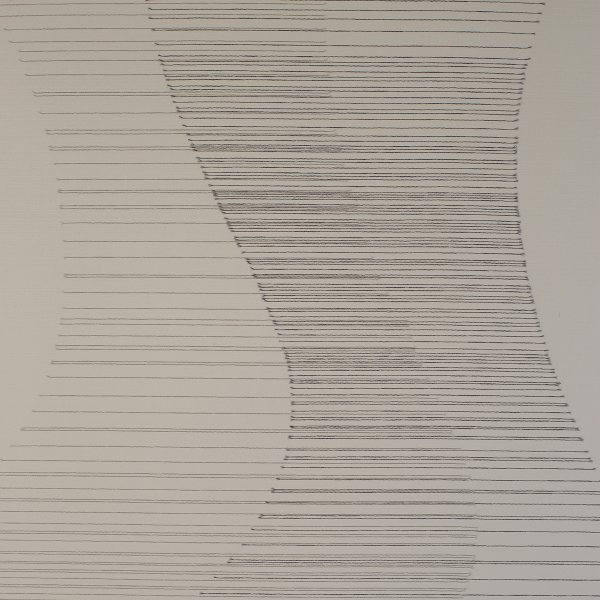 Schiebevorhang Dessin Tamia Fb. 60, 60x245 cm