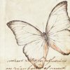 Schiebevorhang Dessin Papillon Fb. 20, 60x245 cm, kürzbar 