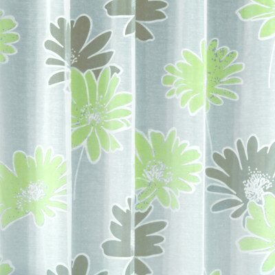 Schlaufenschal Dessin Serena Fb. 80, 140x245 cm