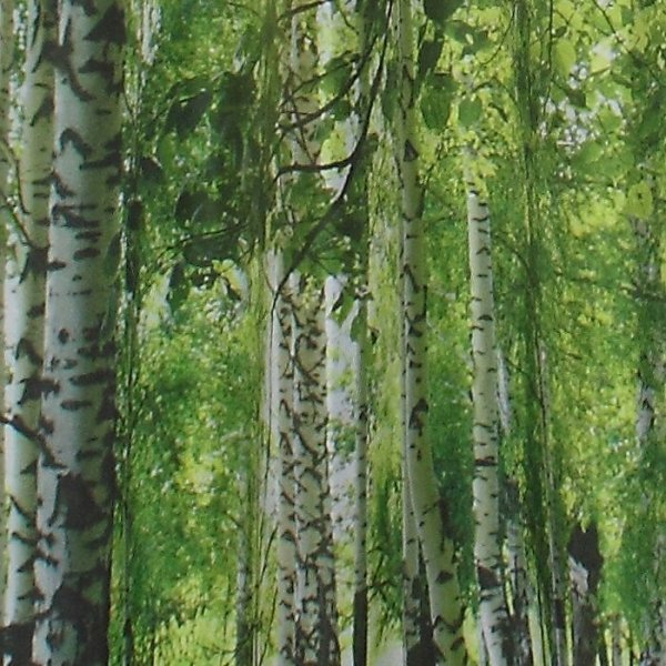 Schlaufenschal Dessin Bosco Fb. 80, 140x245 cm