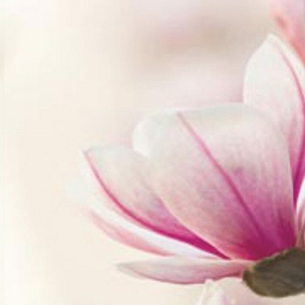 Schiebevorhang Dessin Malea Fb. 92, 60x245 cm, kürzbar