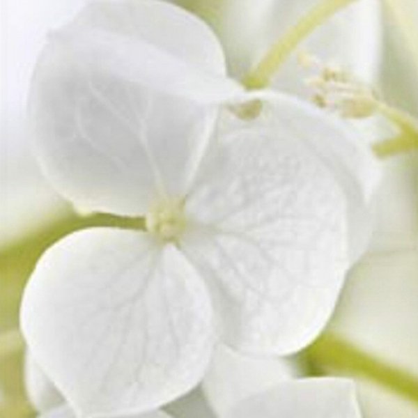 Schiebevorhang Dessin Zohra Fb. 10, 60x245 cm, kürzbar