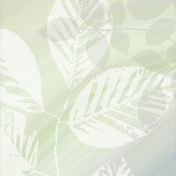 Schiebevorhang Dessin Fronda Fb. 80, 60x245 cm, kürzbar