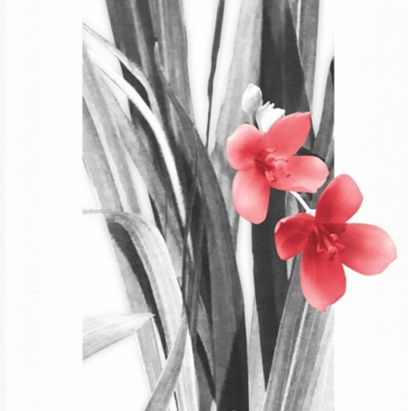 Schiebevorhang Dessin Della Fb. 70, 60x245 cm, kürzbar