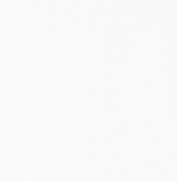 Schiebevorhang Dessin Jules Fb. 10, 60x245 cm, kürzbar