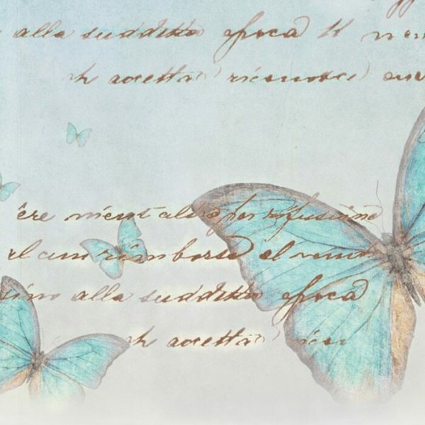 Raffrollo Dessin Gloria Fb. 40