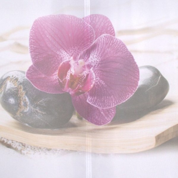 Raffrollo Dessin Monja Fb. 77