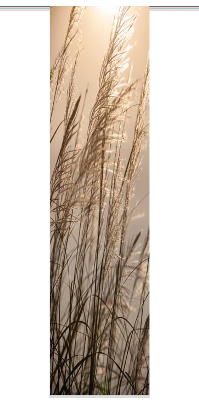 Flächengardinen / Gardinen Dessin Taro (30) in 60 x 245 cm